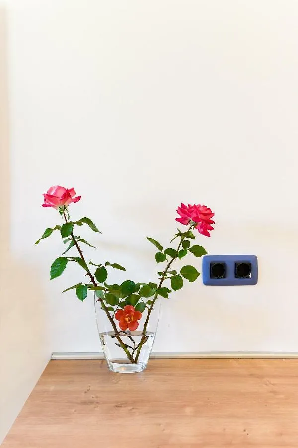 Apartmani Bosa Zadar